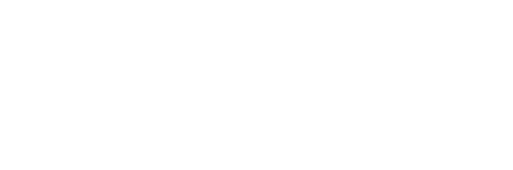 Hometowne Heroes logo