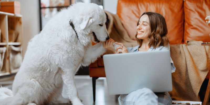 Woman sitting on the floor with her computer and dog researching buying a new home