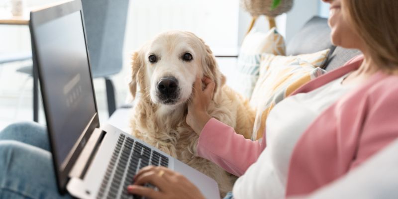 young woman sitting on couch with her dog looking at laptop
